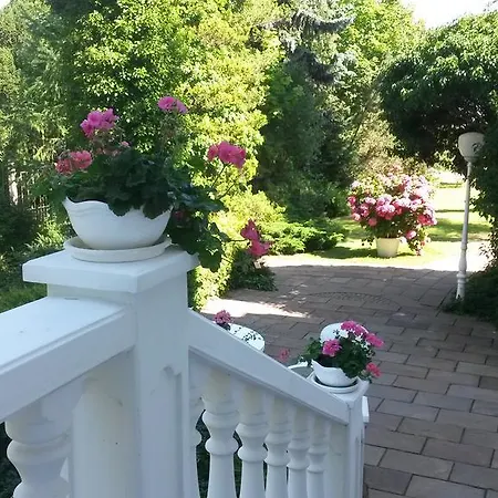 Hotel Hotel Oasis