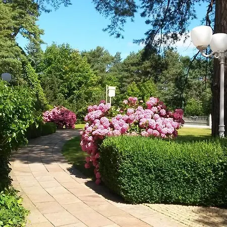 Hotel Oasis 4*